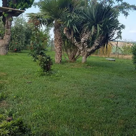 Holiday home Podere 239